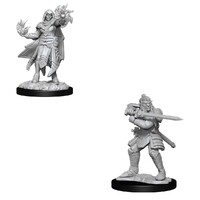 D&D Nolzurs Marvelous Unpainted Miniatures Hobgoblin Fighter Male & Hobgoblin Wizard Female