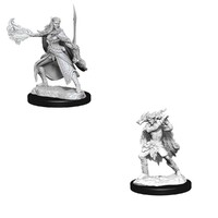 Dungeons & Dragons Nolzurs Marvelous Unpainted Miniatures Winter Eladrin  & Spring Eladrin