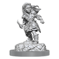 D&D Nolzurs Marvelous Miniatures Halfling Rogue Female