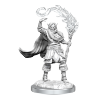 Dungeons & Dragons Nolzurs Marvelous Unpainted Miniatures Elf Cleric Male