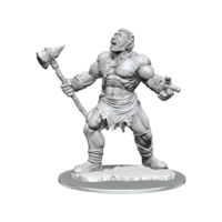 Dungeons & Dragons Nolzurs Marvelous Unpainted Miniatures Cyclops