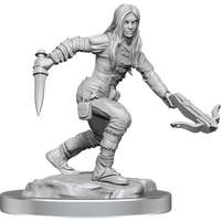 Dungeons & Dragons Nolzurs Marvelous Unpainted Miniatures Half-Elf Rogue Female
