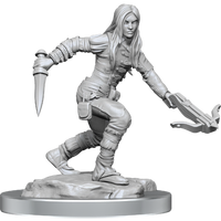 Dungeons & Dragons Nolzurs Marvelous Unpainted Miniatures Half-Elf Rogue Female
