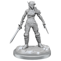 Dungeons & Dragons Nolzurs Marvelous Miniatures Elf Rogue & Half-Elf Protege