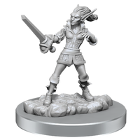 Dungeons & Dragons Nolzurs Marvelous Miniatures Quickling