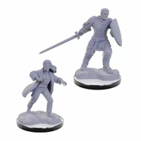 D&D Nolzur's Marvelous Miniatures: Reborn Paladin & Reborn Warlock
