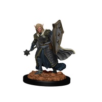 Dungeons & Dragons Premium Figures Elf Male Cleric