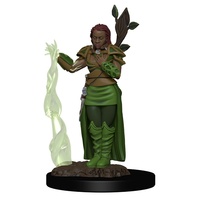 Dungeons & Dragons Premium Figures Human Female Druid