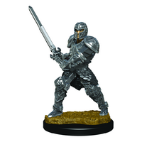 Dungeons & Dragons Premium Painted Figures Male Human Fighter