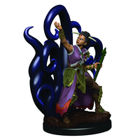 Dungeons & Dragons Premium Painted Figures Female Human Warlock