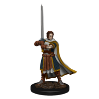 Dungeons & Dragons Premium Painted Figures Human Cleric Male