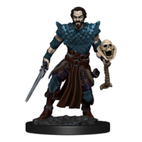 Dungeons & Dragons Premium Painted Figures Human Warlock Male