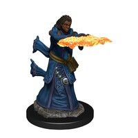 Dungeons & Dragons Premium Painted Figures Human Wizard Female