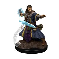 D&D Premium Painted Figures Human Wizard Male