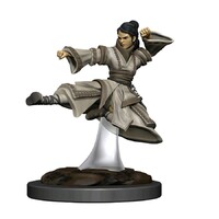 D&D Premium Painted Figures Human Monk Female