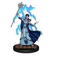 Dungeons & Dragons Premium Painted Figures Elf Wizard Female