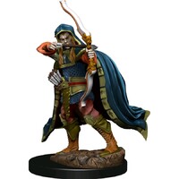 Dungeons & Dragons Premium Painted Figures Elf Rogue Male