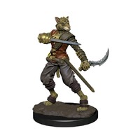 Dungeons & Dragons Premium Painted Figures Tabaxi Rogue Male