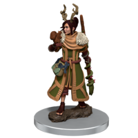 Dungeons & Dragons Premium Painted Figures Human Druid Female