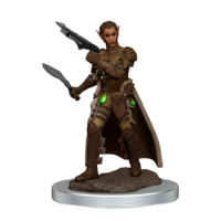 D&D Premium Painted Figures Shifter Rogue Female