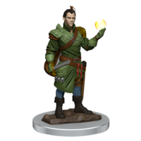 D&D Premium Painted Figures Half-Elf Bard Male