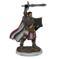 Dungeons & Dragons Premium Painted Figures Human Paladin Male