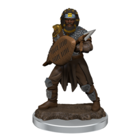 Dungeons & Dragons Premium Painted Figures Human Fighter Male