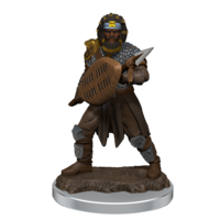 D&D Premium Painted Figures Human Fighter Male