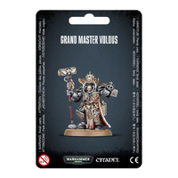 Warhammer 40k Grey Knights Grand Master Voldus