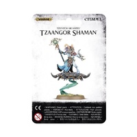 Warhammer Age of Sigmar: Tzeentch Arcanites Tzaangor Shaman