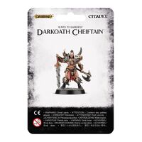 Warhammer Age of Sigmar: Slaves to Darkness Darkoath Chieftain (Direct)