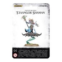 Warhammer Age of Sigmar: Tzeentch Arcanites Tzaangor Shaman