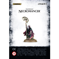 Warhammer Age of Sigmar: Deathmages Necromancer