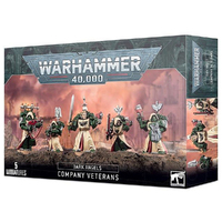 Warhammer 40K: Dark Angels Company Veterans