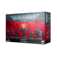 Warhammer 40K: Deathwatch Veterans Kill Team