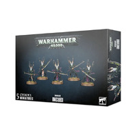 Warhammer 40K: Drukhari Incubi