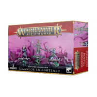 Warhammer Age of Sigmar: Tzeentch Arcanites Tzaangor Enlightened