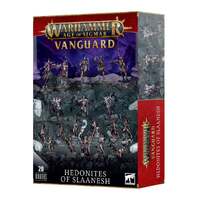 Warhammer Age of Sigmar: Vanguard Hedonites Of Slaanesh