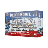 High Elf Blood Bowl Team The Caledor Dragons