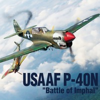 Academy 1/48 USAAF P-40N Warhawk "Battle of Imphal" Plastic Model Kit *Aus Decals* [12341]