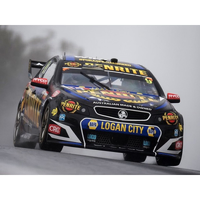 Authentic Collectables 1/12 Holden VF Commodore #9 Penrite Bathurst Winner (2017) - Reynolds / Youlden