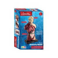 Australian Geographic - Human Anatomy Model 27cm 8 pieces