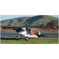 Arrows Hobby 1800mm Husky PNP w/ Vector RC Aircraft