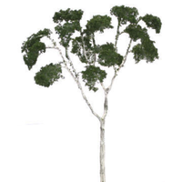 Auscision Large Gum Tree - Dark Color - 200mm high, 1 per pack