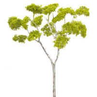 Auscision Large Gum Tree - Light Color - 200mm high, 1 per pack