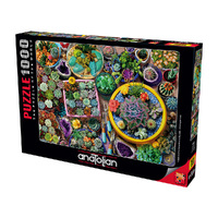Anatolian 1000pc Cacti Pots