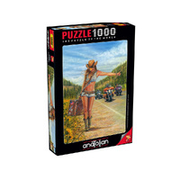 Anatolian 1000pc American Gypsy
