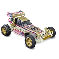 Team Associated 1/10 Team Car 2025 Metallic Edition 2WD RC Buggy Kit Limited Edition