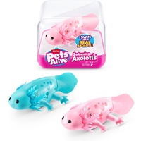 Zuru Pet's Alive Swimming Axolotl (Assorted)