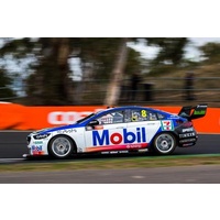 Biante 1/43 Brad Jones Racing Holden ZB Commodore #8 - Percat/Blanchard Mobil - Bathurst 2019